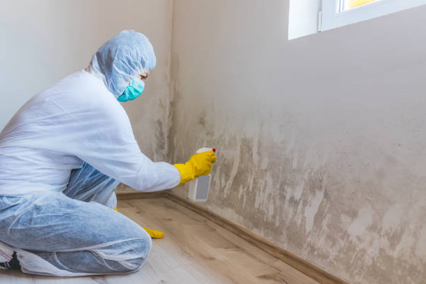 Mold inspector in Union performing thermal imaging